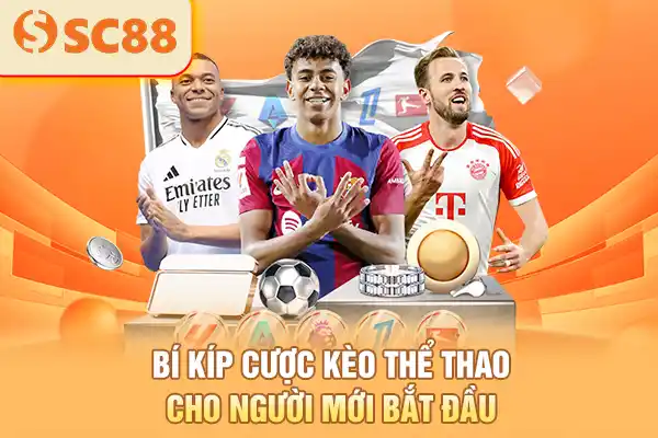 Bí kíp cược kèo thể thao cho người mới bắt đầu