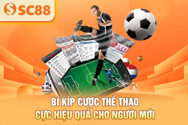 Bí kíp cược thể thao cực hiệu quả cho người mới