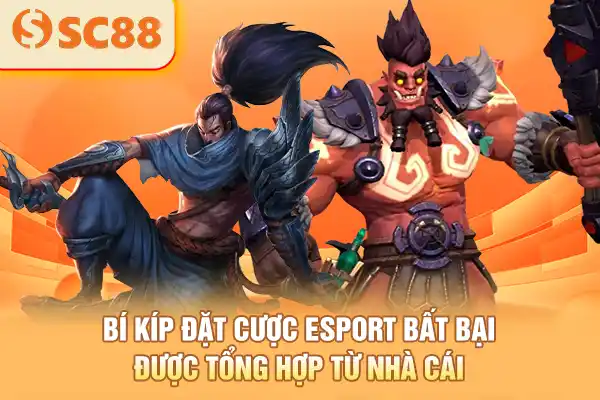 Bí kíp đặt cược Esport bất bại được tổng hợp từ nhà cái