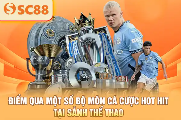 Điểm qua một số bộ môn cá cược hot hit tại sảnh thể thao