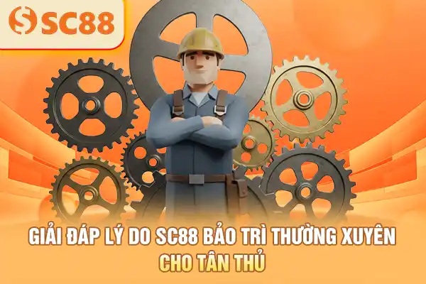 Giải Đáp Lý Do SC88 Bảo Trì Thường Xuyên Cho Tân Thủ