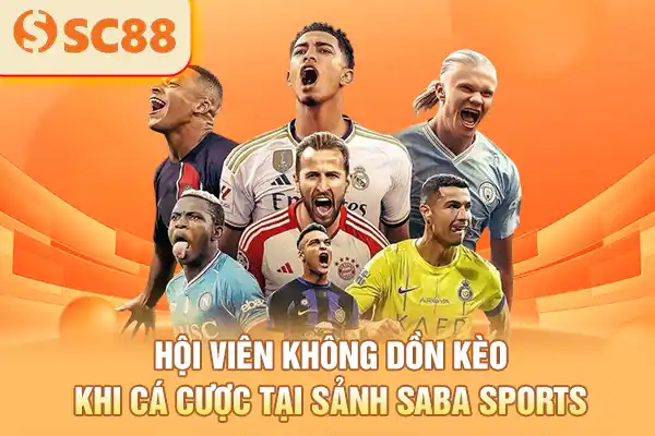 Hội viên không dồn kèo khi cá cược tại sảnh Saba Sports