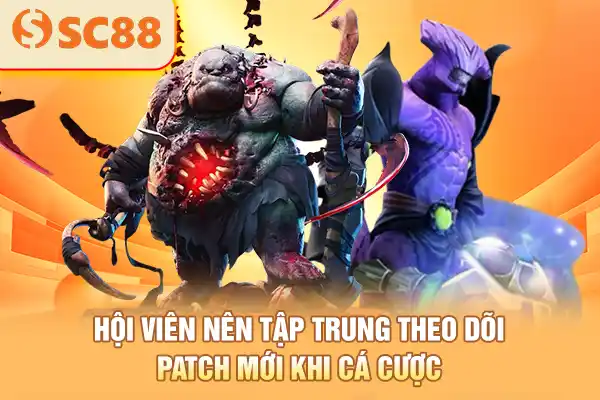 Hội viên nên tập trung theo dõi patch mới khi cá cược