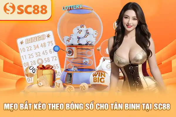 Mẹo bắt kèo theo bóng số cho tân binh tại SC88