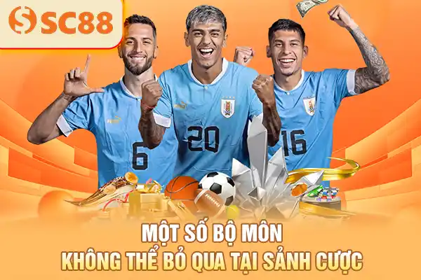 Một số bộ môn không thể bỏ qua tại sảnh cược