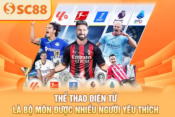 Thể thao điện tử là bộ môn được nhiều người yêu thích