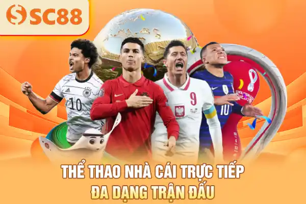 Thể thao nhà cái trực tiếp đa dạng trận đấu