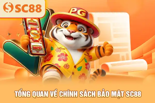 Tổng quan về chính sách bảo mật SC88