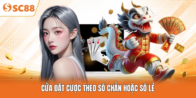 Cửa đặt cược theo số chẵn hoặc số lẻ