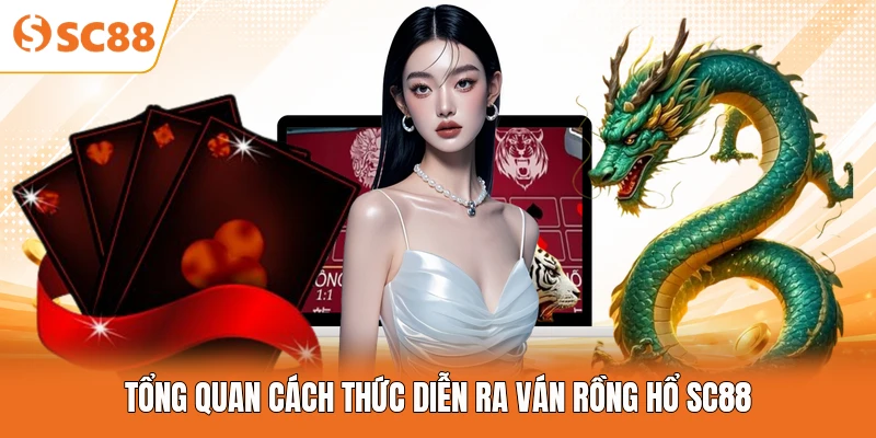 Tổng quan cách thức diễn ra ván Rồng Hổ SC88